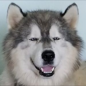 Meet your Posher, Cheyanna